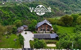 Bârlogul Vikingilor